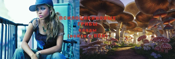 ГАЛЛЮЦИНОГЕННЫЕ ГРИБЫ Вязники