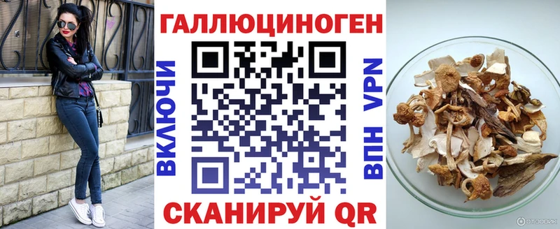 omg зеркало  продажа наркотиков  Волгодонск  Галлюциногенные грибы Cubensis 