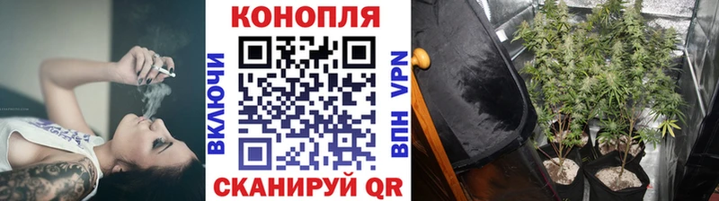 Шишки марихуана Ganja  Волгодонск 